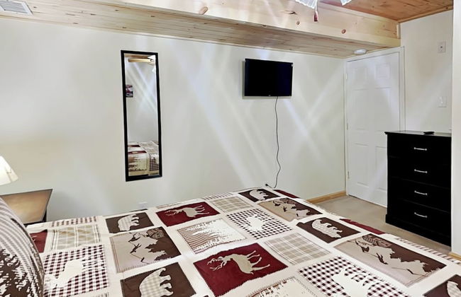 Almost Bearadise - Photo 26