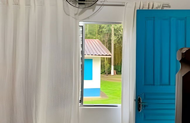 Cottages Bem-te-Vi e Beija-Flor, Mata Atlântica, Pesca, Natureza - Foto 62