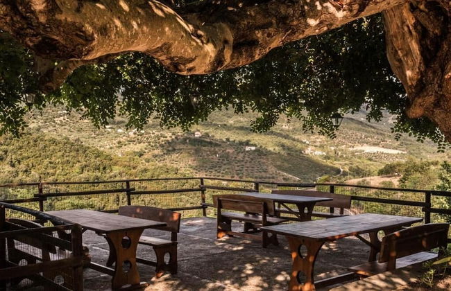 Casale I Cirillo: Primula & Iberide Florida - Foto 29