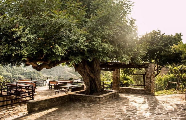 Casale I Cirillo: Primula & Iberide Florida - Foto 25