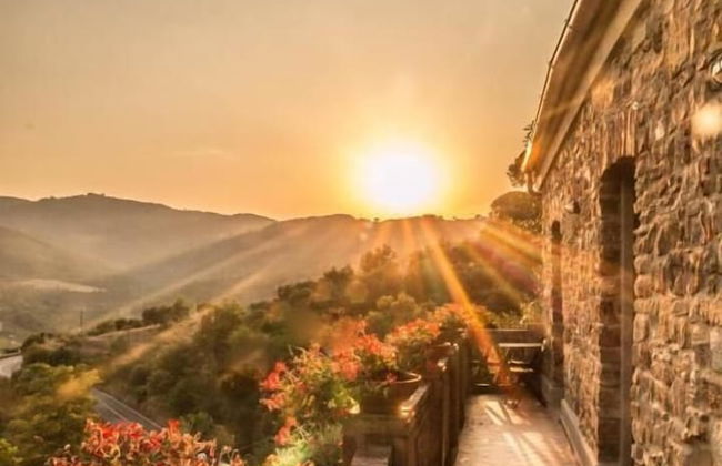 Casale I Cirillo: Primula & Iberide Florida - Foto 33