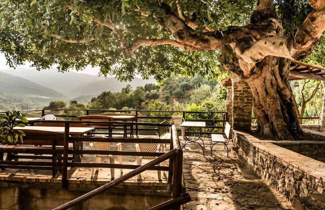 Casale I Cirillo: Primula & Iberide Florida - Foto 26