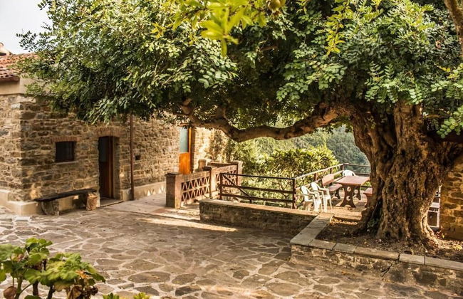 Casale I Cirillo: Primula & Iberide Florida - Foto 24