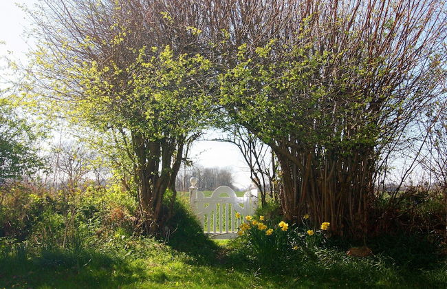 Cottage, Steam - Foto 76