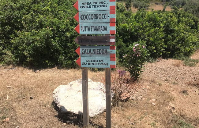 Casa Vacanze al Mare la Casa del Geco - Foto 38