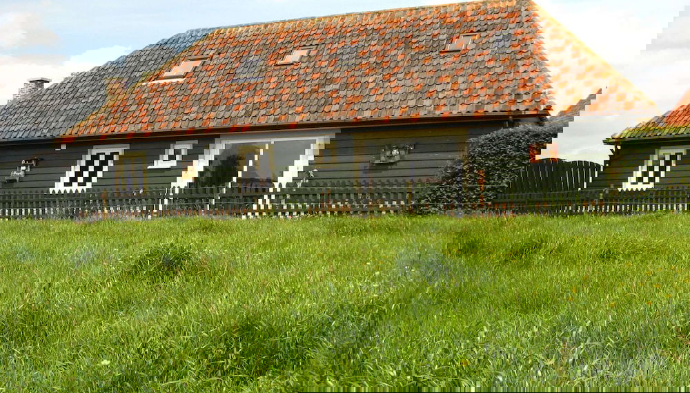Primary image