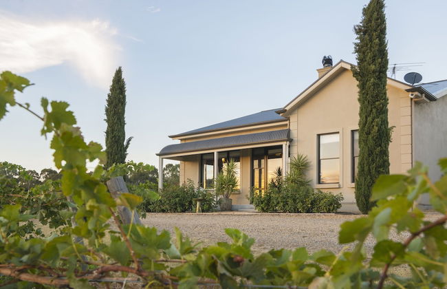 Barossa Shiraz Estate - Foto 18