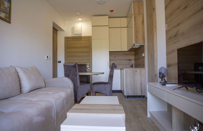 Apart Hotel Gondola Kolasin - Foto 46