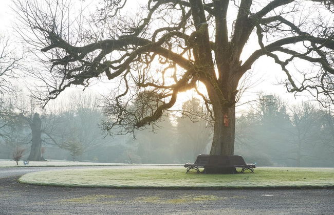 Luxury Lodge With Garden in the Grade II Listed Netherby Hall - Foto 24