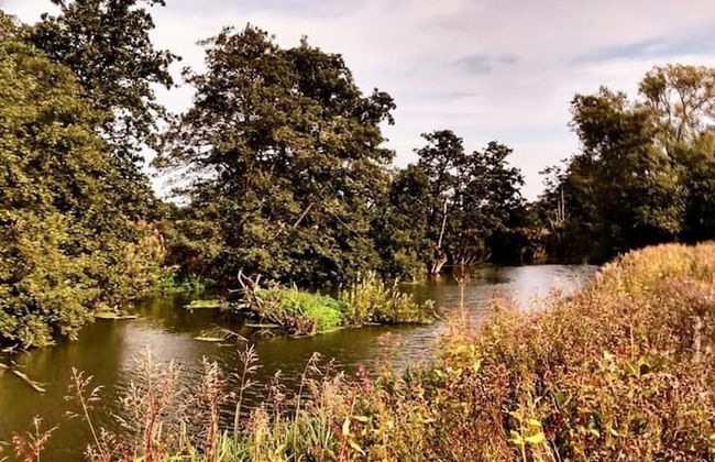 Luxury Studio Cottage at Foot of Yorkshire Wolds - Foto 14