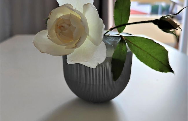 Lefteris Insta-worthy Studio With Garden View - Photo 11