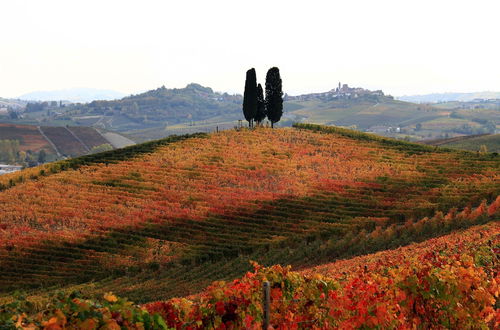 Photo 40 - Cascina Tre Botti