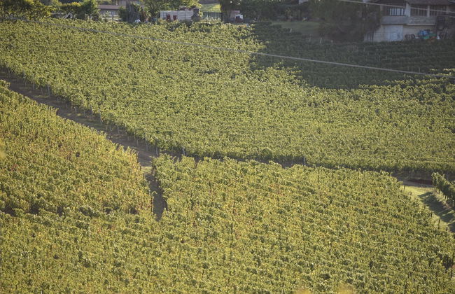 Cascina Tre Botti - Foto 75