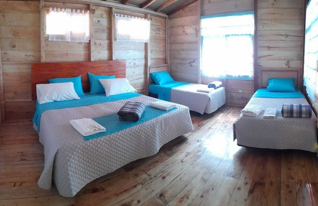 Willka Eco Farm - Foto 6