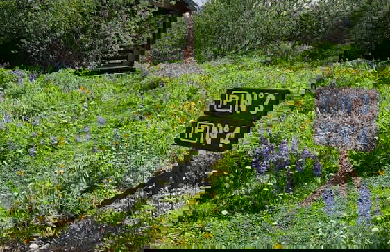 Kaldbaks-kot Cottages - Photo 61