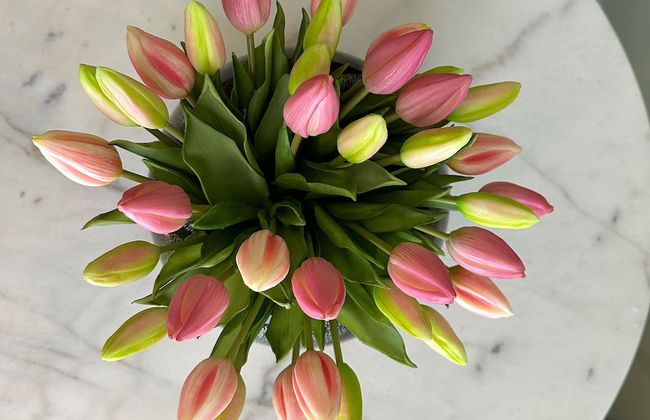 NLM Boutique Suites - Photo 14