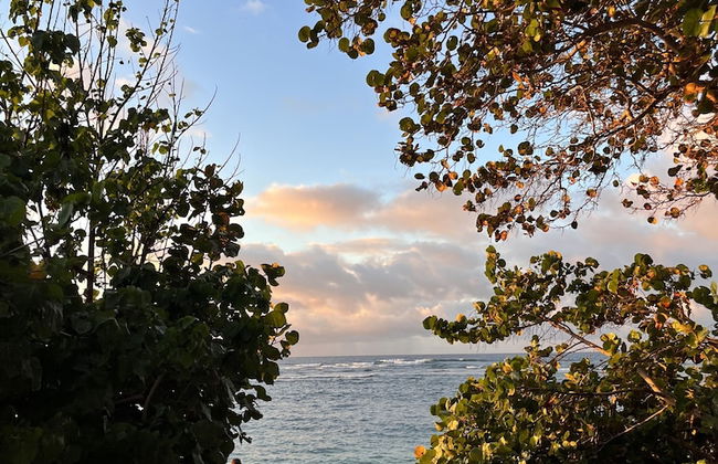 Akule Clubhouse: Ono Two Bed Beach Oasis W/mountain Views 2 Bedroom Condo by RedAwning - Photo 25
