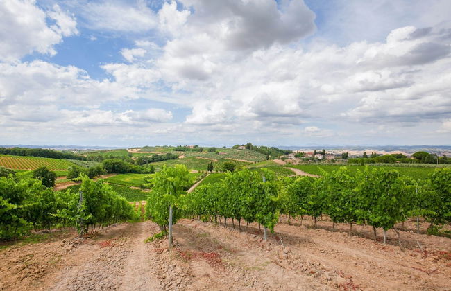 Spacious Tuscany Retreat - Foto 40