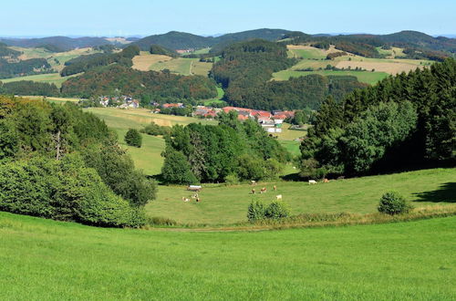 Photo 26 - Holiday in the Sauerland Region in Unique Location