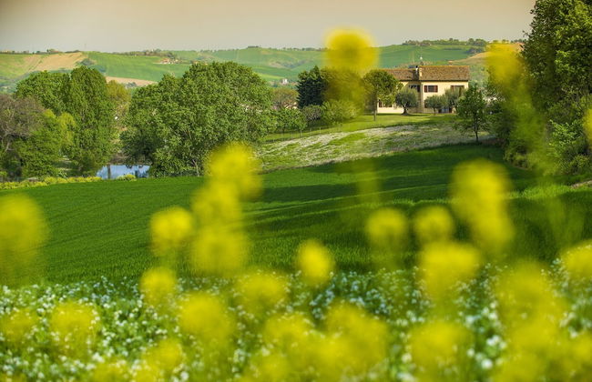 Inviting Holiday Home in San Costanzo With Swimming Pool - Photo 36