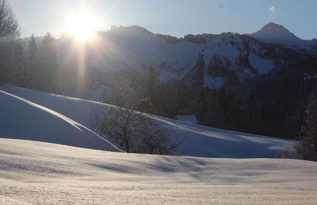 Dog-friendly Chalet in Bregenzerwald - Foto 31
