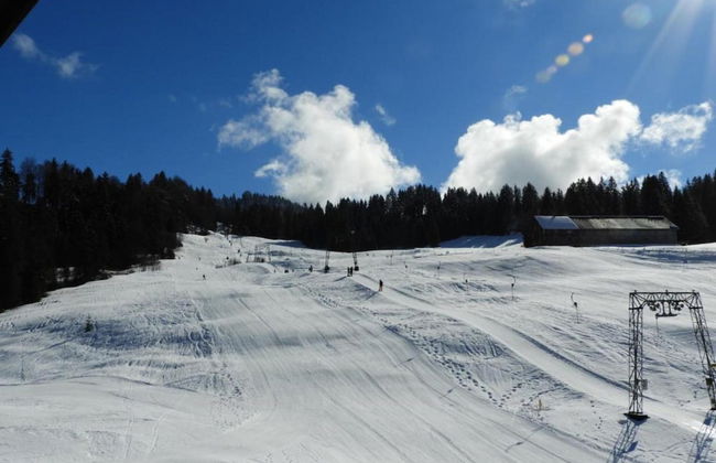 Dog-friendly Chalet in Bregenzerwald - Foto 35