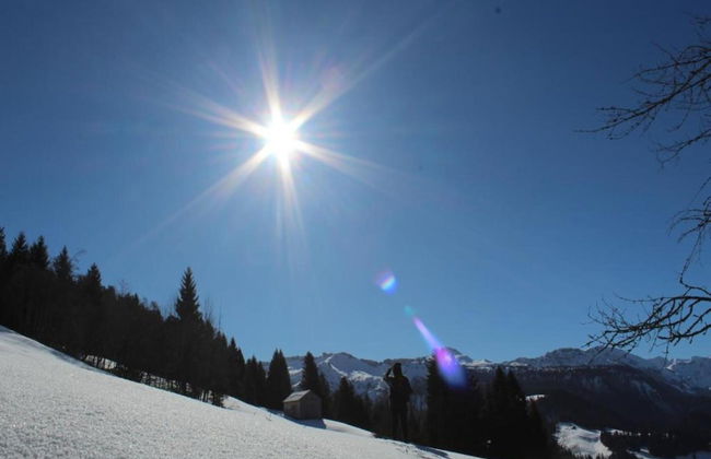 Dog-friendly Chalet in Bregenzerwald - Foto 36
