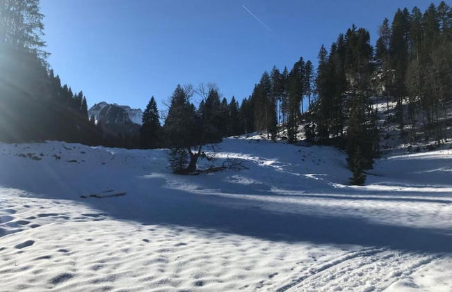 Dog-friendly Chalet in Bregenzerwald - Foto 34