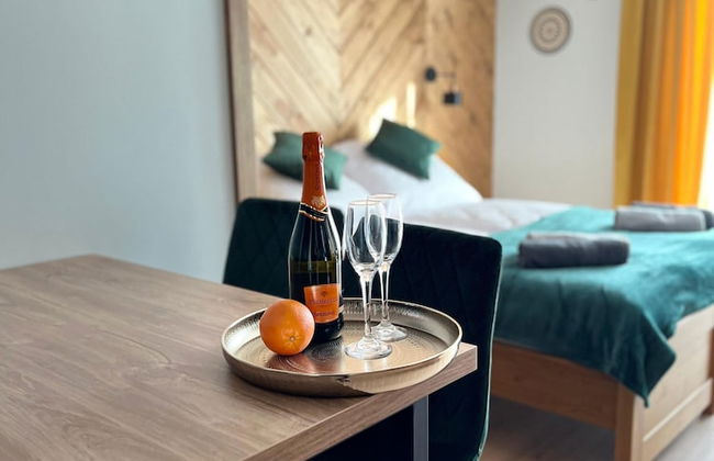 Willa Janowa apartamenty i pokoje - Foto 49