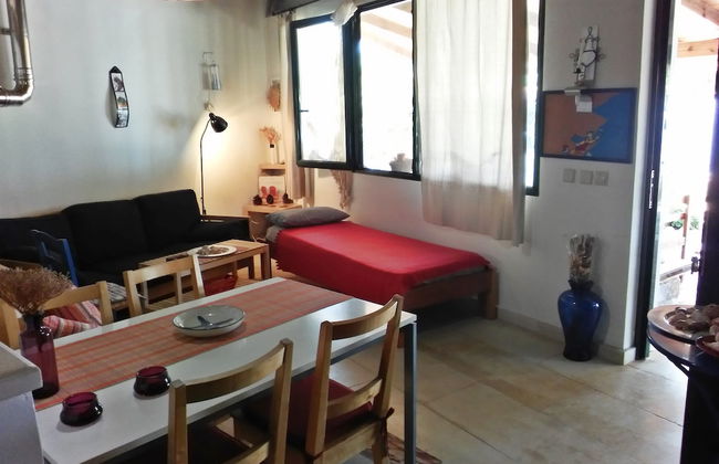 2 Annexed Apartments -private Place to Swim-large Terrace- Unlimited View - Photo 9