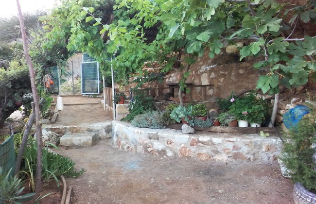 2 Annexed Apartments -private Place to Swim-large Terrace- Unlimited View - Photo 6