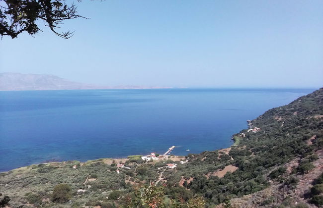 2 Annexed Apartments -private Place to Swim-large Terrace- Unlimited View - Photo 25