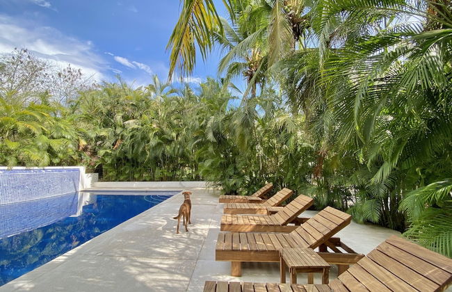 Villa Palomas A Unos Pasos De Playa La Ropa - Photo 20