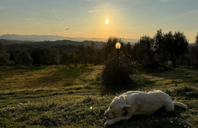 Holiday Home in Gambassi Terme With Terrace - Foto 35