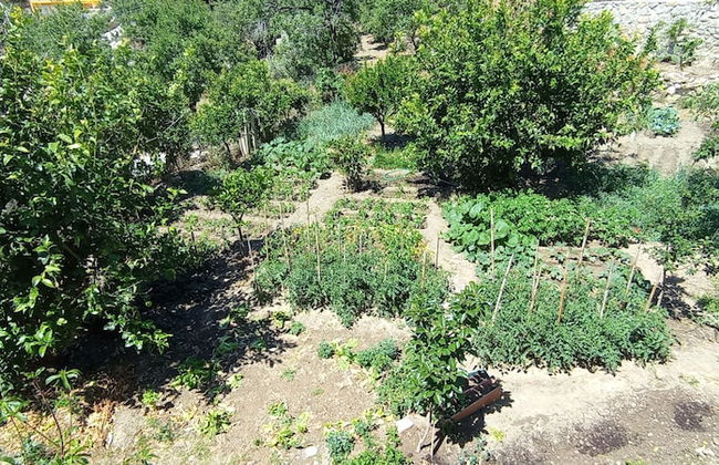 Kardelen apart Mesudiye - Foto 44