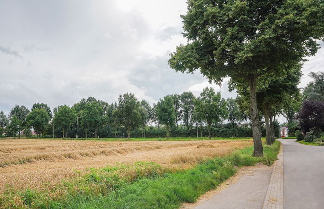Bungalow in Landgraaf With Terrace - Foto 36