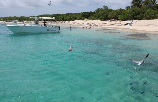 Beachfront Studios - Foto 68