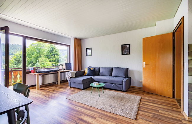 black forest apartments titisee - Foto 32