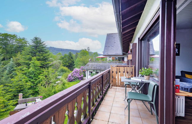 black forest apartments titisee - Foto 36