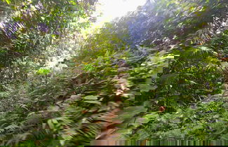 Foto 3 - Cabaña Nuisuni