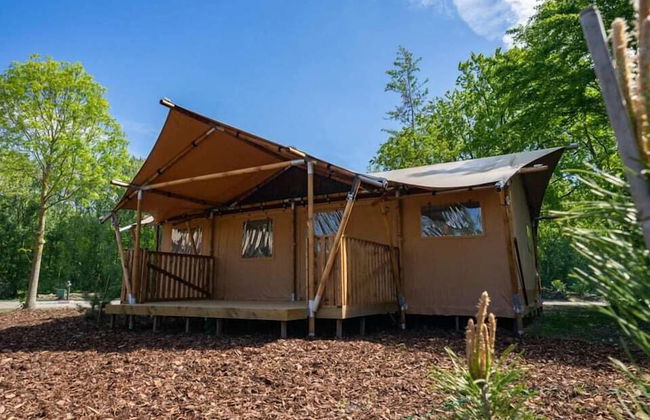EuroParcs Het Amsterdamse Bos - Foto 4