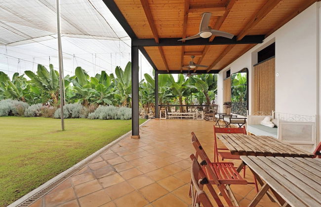 Finca La Calabacera Casa Azul - Foto 33