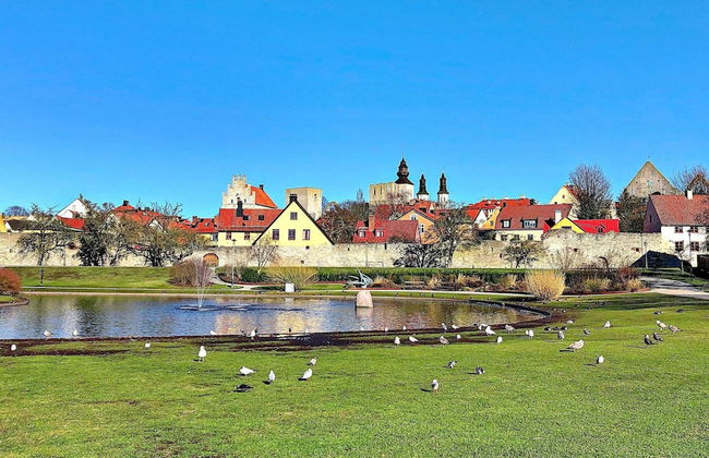 4 Person Holiday Home in Gotlands.tofta - Foto 10