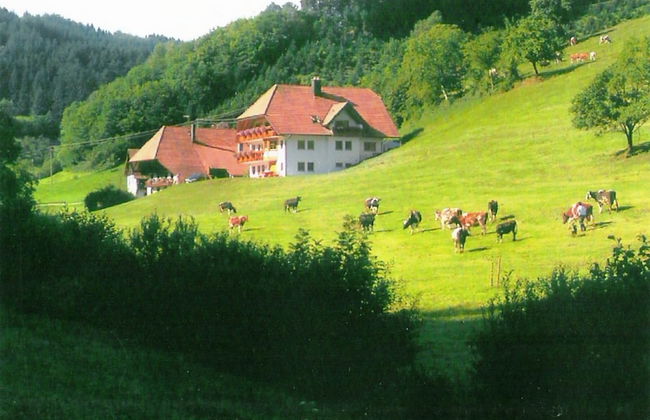 Comfy Apartment in Salmensbach near River - Foto 9