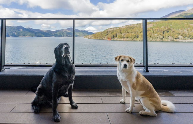 RakutenSTAY FUJIMITERRACE HakoneAshinoko - Foto 42