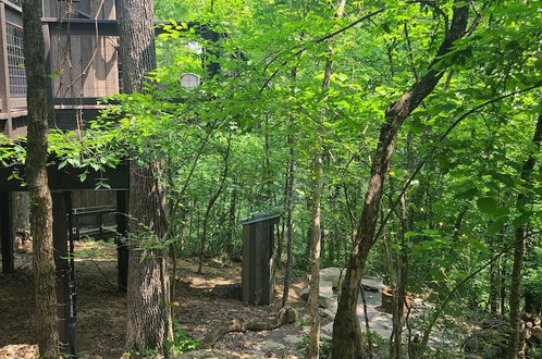 Foto 73 - The Treetop Hideaways at Ruby Falls