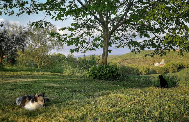 Agriturismo Casa Greppo - L'Ulivo - Foto 63