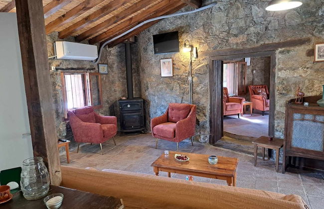 PITHARIA - Foto 35