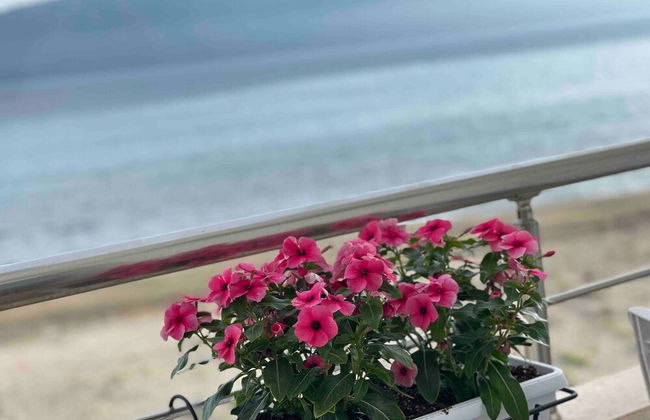 Seaview Apartments Rental Vlore - Foto 5