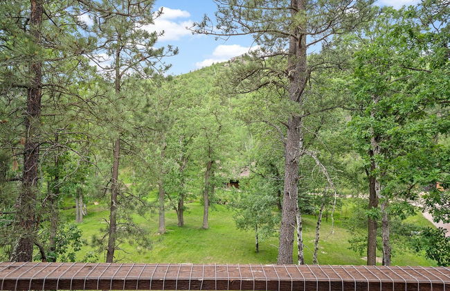 Brookview Place 4BR Near Mount Rushmore - Foto 33
